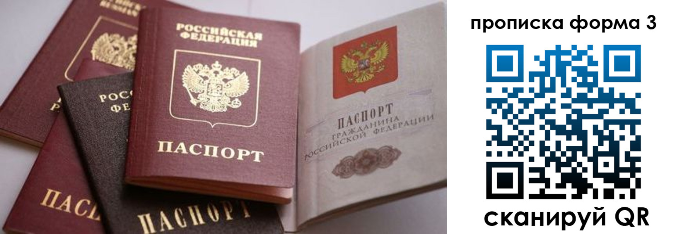 прописка для школы в Полевском